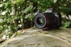 Canon EOS R6 Mark-III (Foto: Leo Thomas)