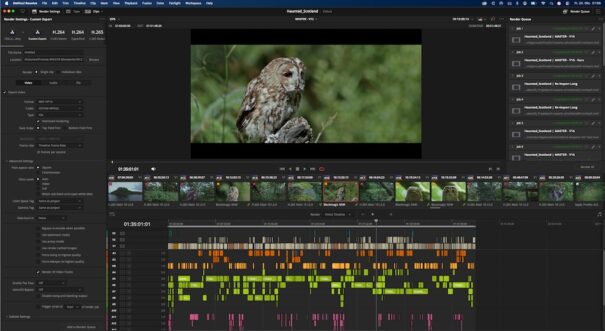 Hunting Places (Arte)