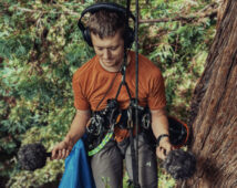 Sennheiser - MKH RF - Secuoya - Paisaje sonoro