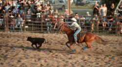 Blackmagic - DaVinci Resolve - The Real Yellowstone