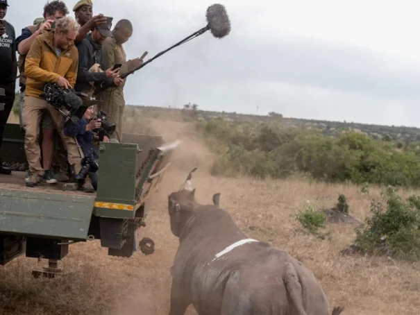 Rhino (Foto: Dustoff Films)