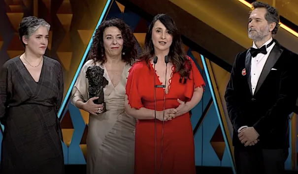 40 Premios Goya, Mejor Película