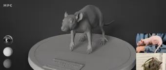 TransPerfect - MPC Paris - Turno de noche 