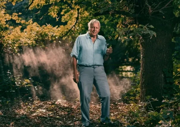 David Attenborough (Foto: BBC)