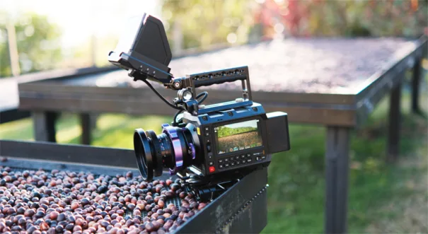 Blackmagic Pyxis - Café de especialidad
