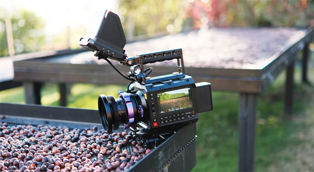 Blackmagic Pyxis - Café de especialidad