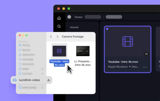 Lucid Link - Frame IO Adobe UI
