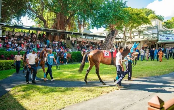MTC Jockey Club (MTCJC)
